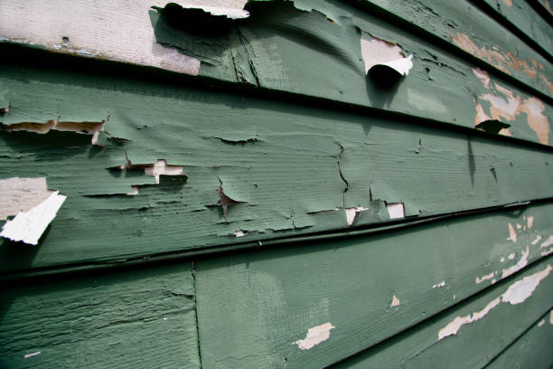 Best Shed Removal  in Dunnigan, CA